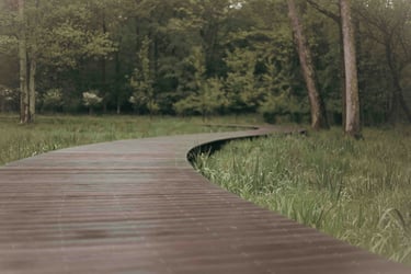 The Path Ahead: 7 trends reshaping finance, procurement, and supply chain